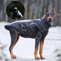 Hondenjas Winter Waterdicht – Warm en Reflecterend voor Middelgrote Honden - Hebbr