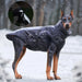 Hondenjas Winter Waterdicht – Warm en Reflecterend voor Middelgrote Honden - Hebbr