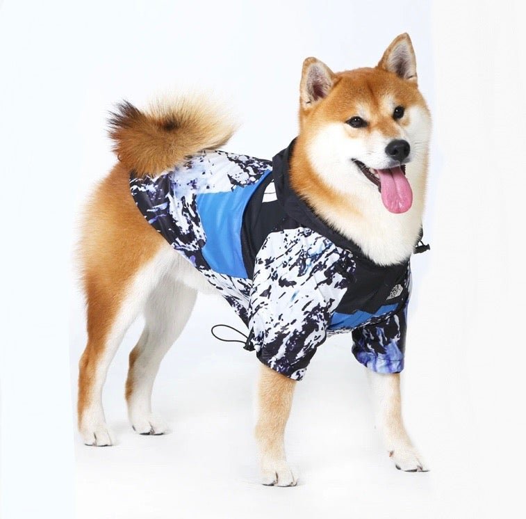 Hondenjas Zwart – Waterdichte Regenjas voor Honden met Harnasgat - Hebbr