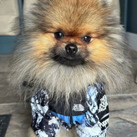 Hondenjas Zwart – Waterdichte Regenjas voor Honden met Harnasgat - Hebbr