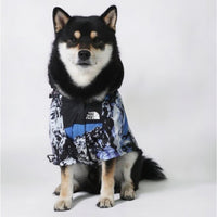 Hondenjas Zwart – Waterdichte Regenjas voor Honden met Harnasgat - Hebbr