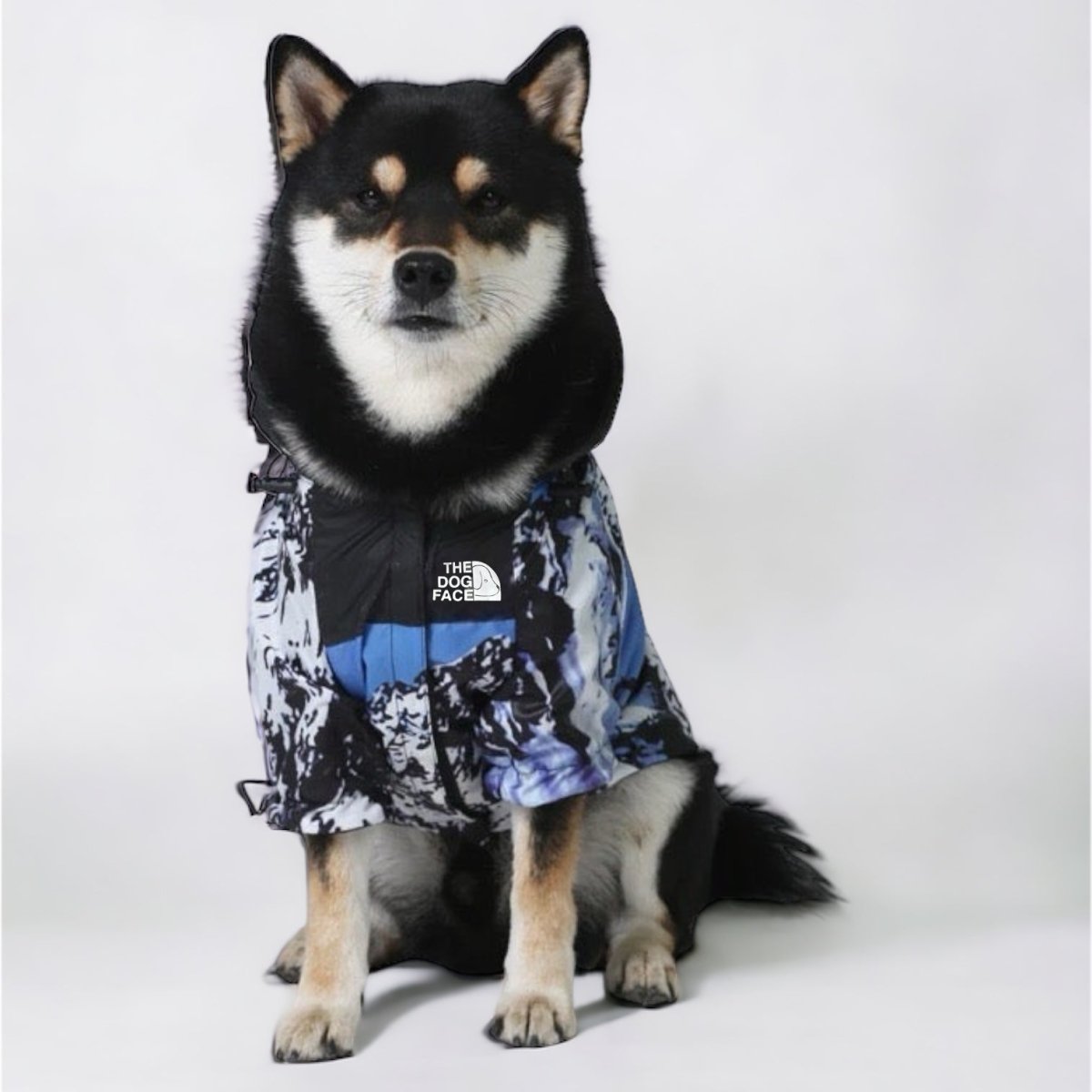 Hondenjas Zwart – Waterdichte Regenjas voor Honden met Harnasgat - Hebbr