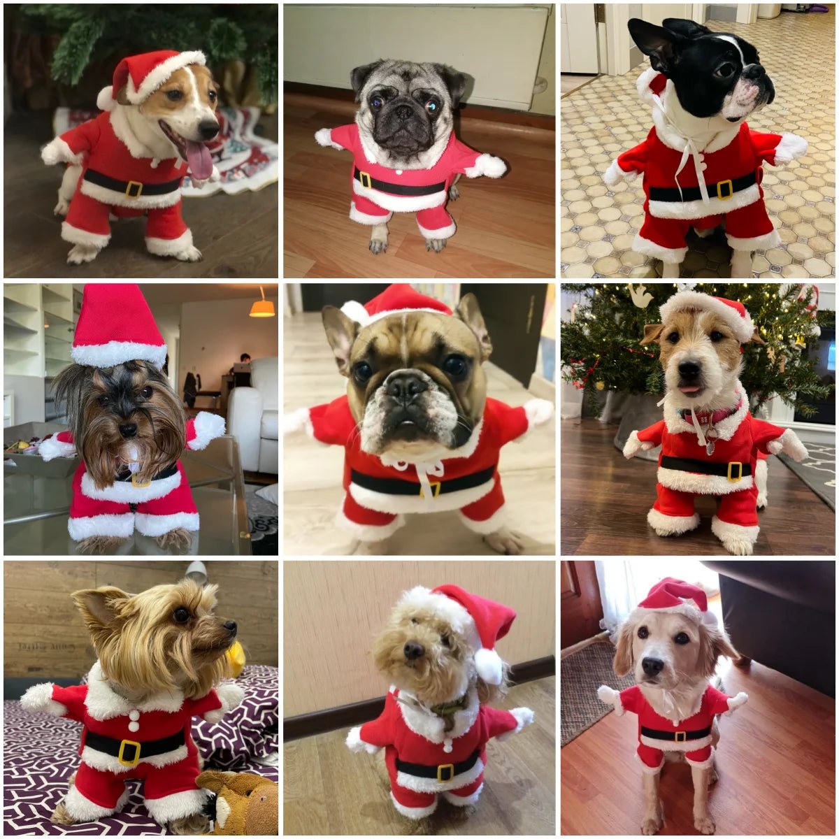 Hondenkostuum Kerstman Fleece XS - XL – Grappige Cosplay Rood voor Honden en Katten - Hebbr