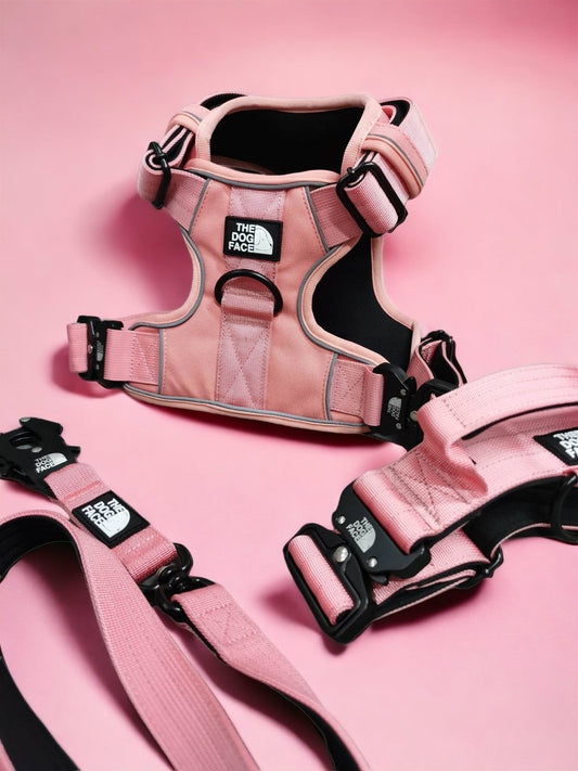 Hondenlijn 1,5 m Nylon – Comfortabele Grip en Wartel Roze - Hebbr