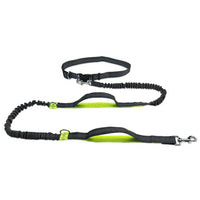 Hondenriem Handsfree 2,5 m Nylon – Schokabsorberend voor Joggen - Hebbr