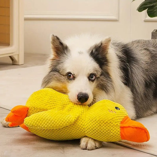 Hondenspeelgoed Eend 38×45 cm – Kalmerend en Duurzaam Speeltje voor Honden - Hebbr