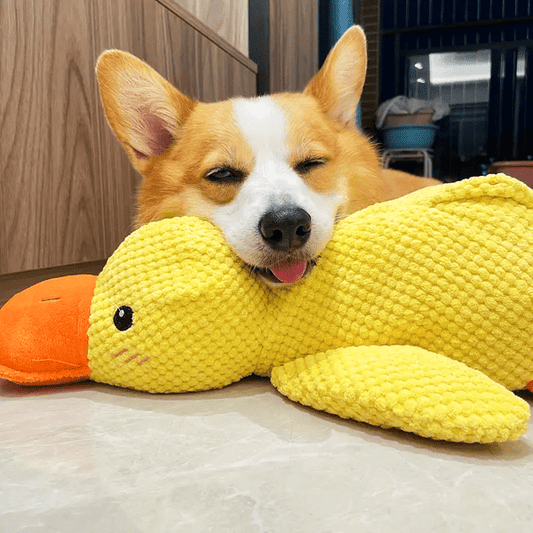Hondenspeelgoed Eend 38×45 cm – Kalmerend en Duurzaam Speeltje voor Honden - Hebbr