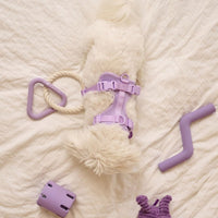 Hondenspeelset met Triangle Rope en Twisty Ball – Interactief Spel voor Honden - Hebbr