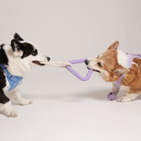 Hondenspeelset met Triangle Rope en Twisty Ball – Interactief Spel voor Honden - Hebbr