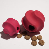 Hondenspeelset met Triangle Rope en Twisty Ball – Interactief Spel voor Honden - Hebbr