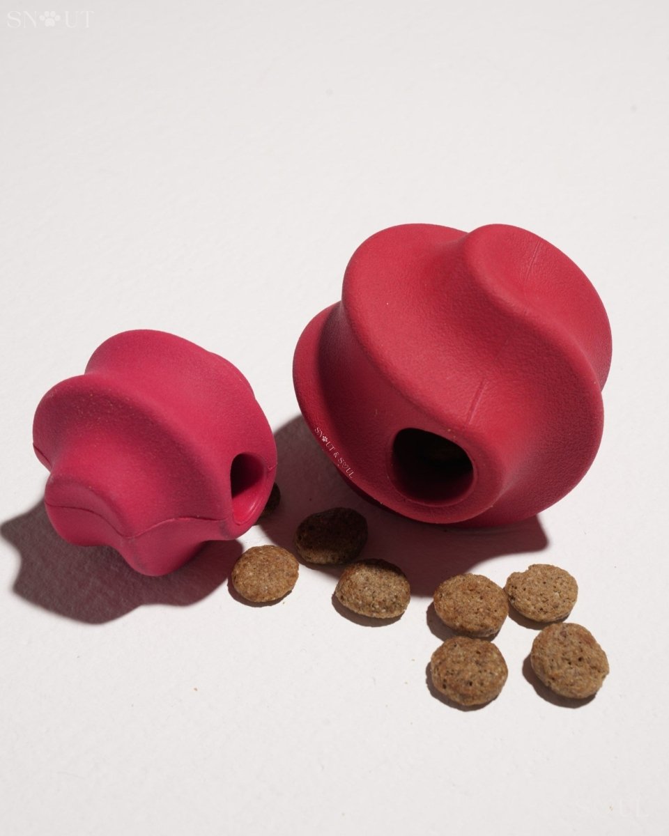 Hondenspeelset met Triangle Rope en Twisty Ball – Interactief Spel voor Honden - Hebbr