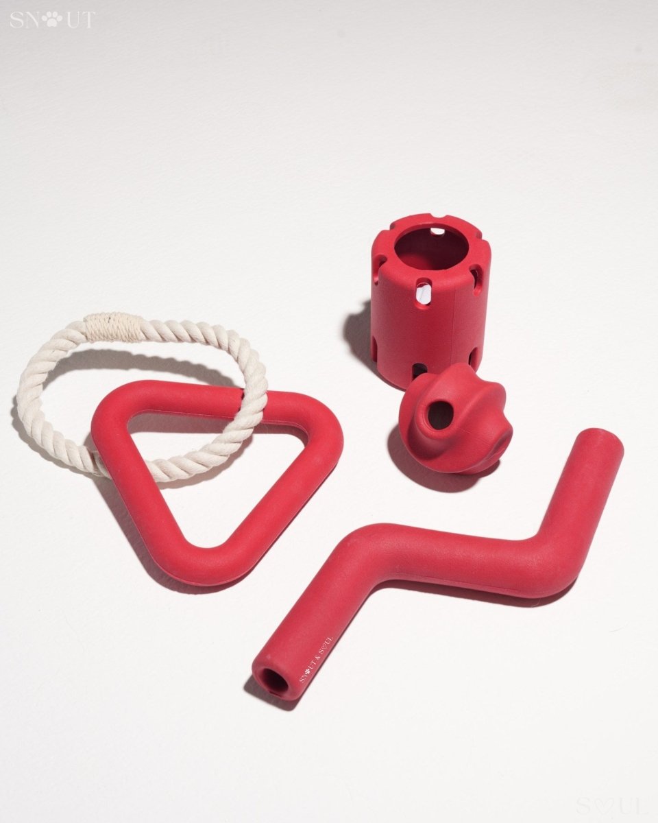 Hondenspeelset met Triangle Rope en Twisty Ball – Interactief Spel voor Honden - Hebbr