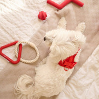 Hondenspeelset met Triangle Rope en Twisty Ball – Interactief Spel voor Honden - Hebbr