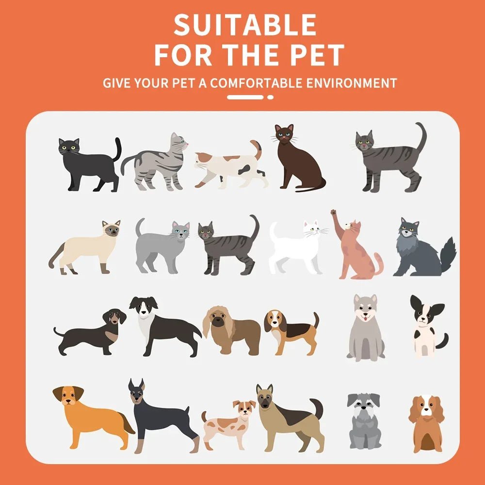 Hondentas voor Kleine Honden – Lichtgewicht, Ademend & Inclusief Handtas - Hebbr