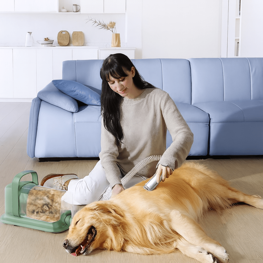 Hondentondeuse | Met Stofzuigerfunctie en Vijf Opzetstukken voor Honden - Hebbr