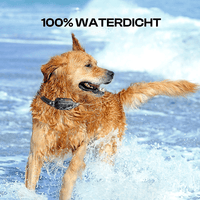 Hondentrainingshalsband 1000 m Waterdicht – Effectieve Training 4–55 kg - Hebbr