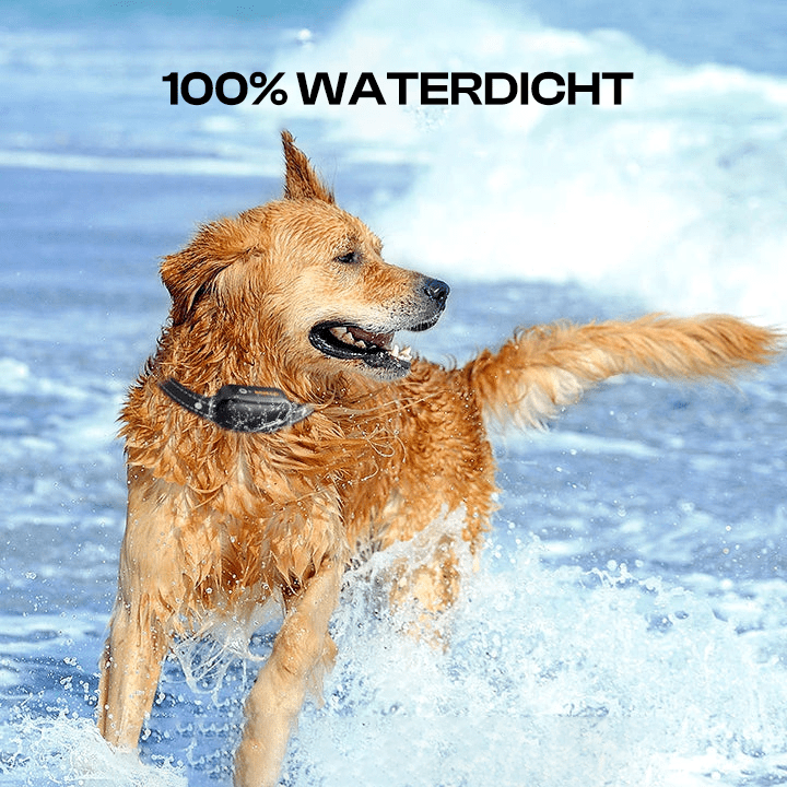 Hondentrainingshalsband 1000 m Waterdicht – Effectieve Training 4–55 kg - Hebbr