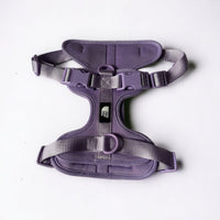 Hondentuig S/M/L Oranje – Verstelbaar Nylon met Reflectie en Gewatteerd Comfort - Hebbr