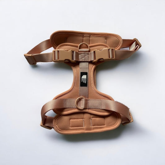 Hondentuig S/M/L Oranje – Verstelbaar Nylon met Reflectie en Gewatteerd Comfort - Hebbr