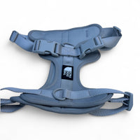 Hondentuig S/M/L Oranje – Verstelbaar Nylon met Reflectie en Gewatteerd Comfort - Hebbr