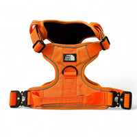 Hondentuig S/M/L Oranje – Verstelbaar Nylon met Reflectie en Gewatteerd Comfort - Hebbr