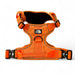 Hondentuig S/M/L Oranje – Verstelbaar Nylon met Reflectie en Gewatteerd Comfort - Hebbr