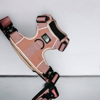 Hondentuig S/M/L Oranje – Verstelbaar Nylon met Reflectie en Gewatteerd Comfort - Hebbr