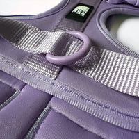 Hondentuig S/M/L Oranje – Verstelbaar Nylon met Reflectie en Gewatteerd Comfort - Hebbr