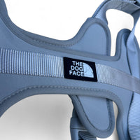 Hondentuig S/M/L Oranje – Verstelbaar Nylon met Reflectie en Gewatteerd Comfort - Hebbr