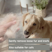 Hondenverzorgingsset 6 - delig – Professionele Borstels en Nagelknipper Groen/Zwart - Hebbr