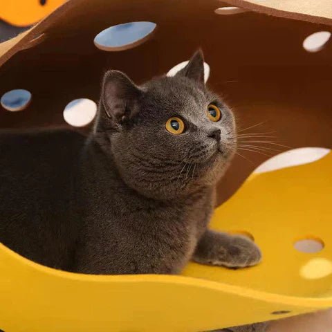 Interactief Kattenspeelgoed Muck - Stimuleert Jachtinstincten en Vermindert Verveling voor Katten - Hebbr