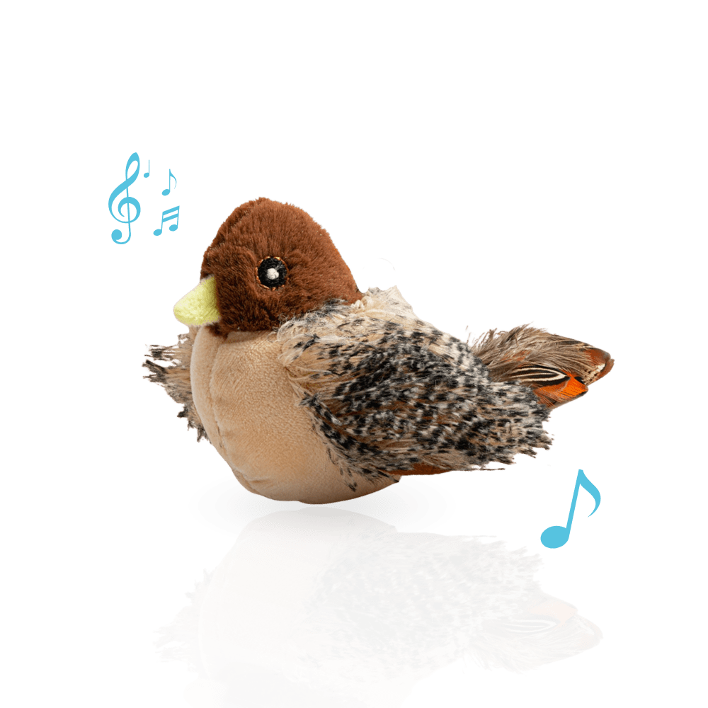 Interactief Kattenspeeltje USB Oplaadbaar – Houdt Kat Actief en Fit - Hebbr