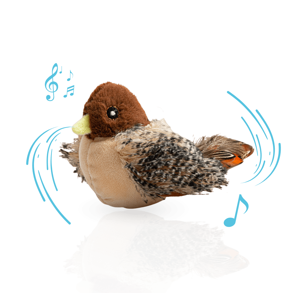 Interactief Kattenspeeltje USB Oplaadbaar – Houdt Kat Actief en Fit - Hebbr