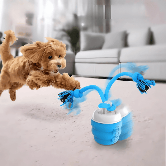 Interactief Kauball voor Honden - Speelgoed voor Tandverzorging met USB - oplaadfunctie - Hebbr