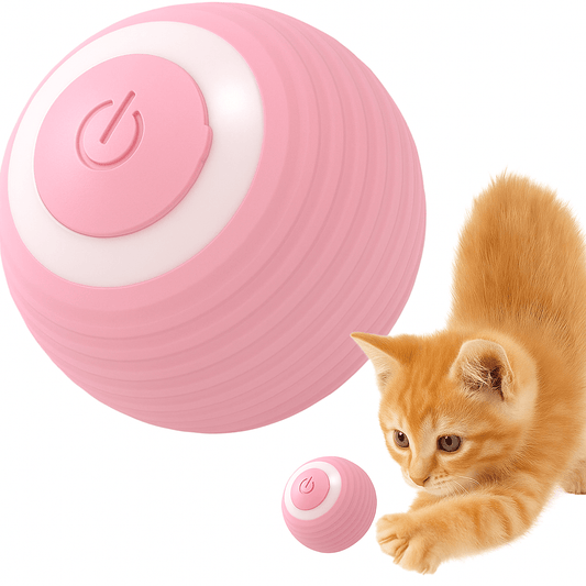 Interactief Speelgoed Voor Honden En Katten - Duurzaam, Oplaadbaar Met 6 Uur Speelplezier - Hebbr