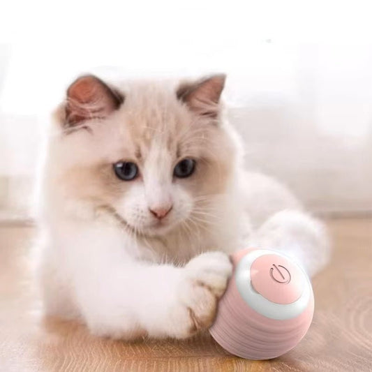 Interactief Speelgoed Voor Honden En Katten - Duurzaam, Oplaadbaar Met 6 Uur Speelplezier - Hebbr