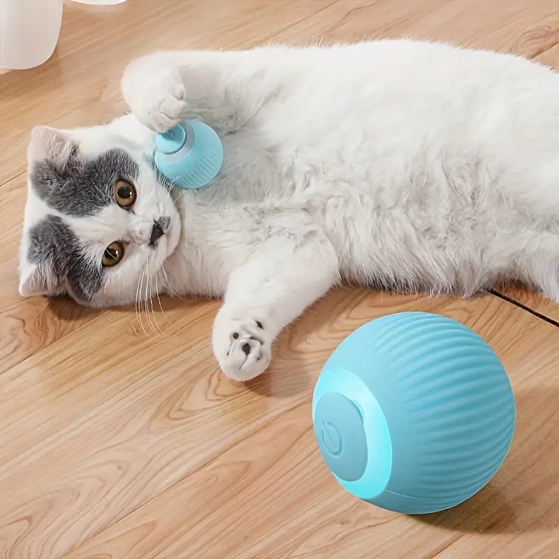 Interactief Speelgoed Voor Honden En Katten - Duurzaam, Oplaadbaar Met 6 Uur Speelplezier - Hebbr