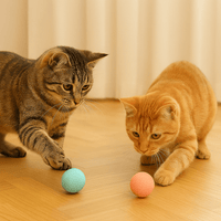 Interactief Speelgoed Voor Honden En Katten - Duurzaam, Oplaadbaar Met 6 Uur Speelplezier - Hebbr