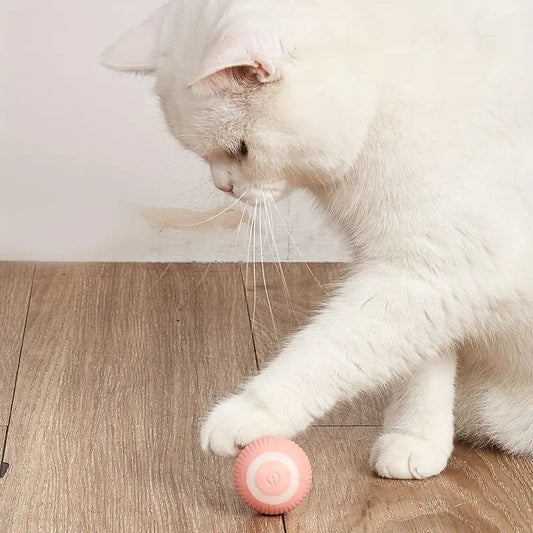 Interactief Speelgoed Voor Honden En Katten - Duurzaam, Oplaadbaar Met 6 Uur Speelplezier - Hebbr