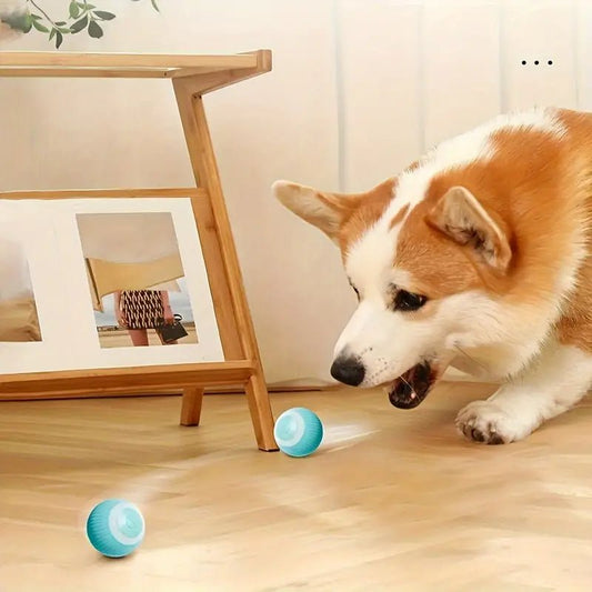 Interactief Speelgoed Voor Honden En Katten - Duurzaam, Oplaadbaar Met 6 Uur Speelplezier - Hebbr