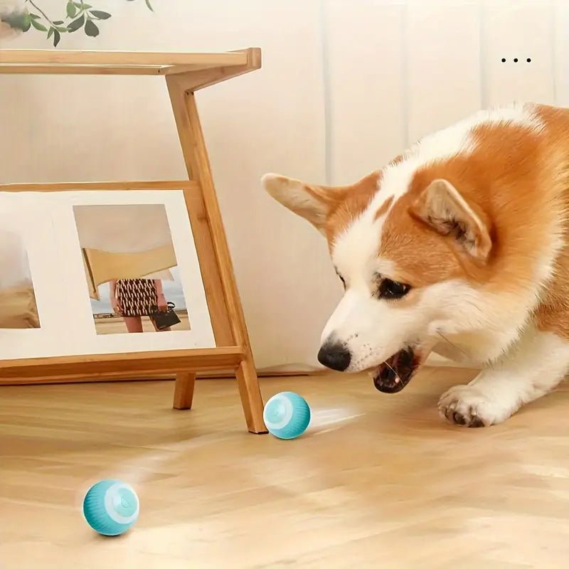 Interactief Speelgoed Voor Honden En Katten - Duurzaam, Oplaadbaar Met 6 Uur Speelplezier - Hebbr