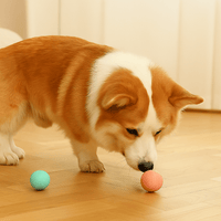 Interactief Speelgoed Voor Honden En Katten - Duurzaam, Oplaadbaar Met 6 Uur Speelplezier - Hebbr