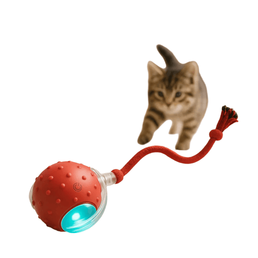 Interactieve Speelbal voor Katten met Aanpasbare Speelstanden en Obstakeldetectie - Hebbr