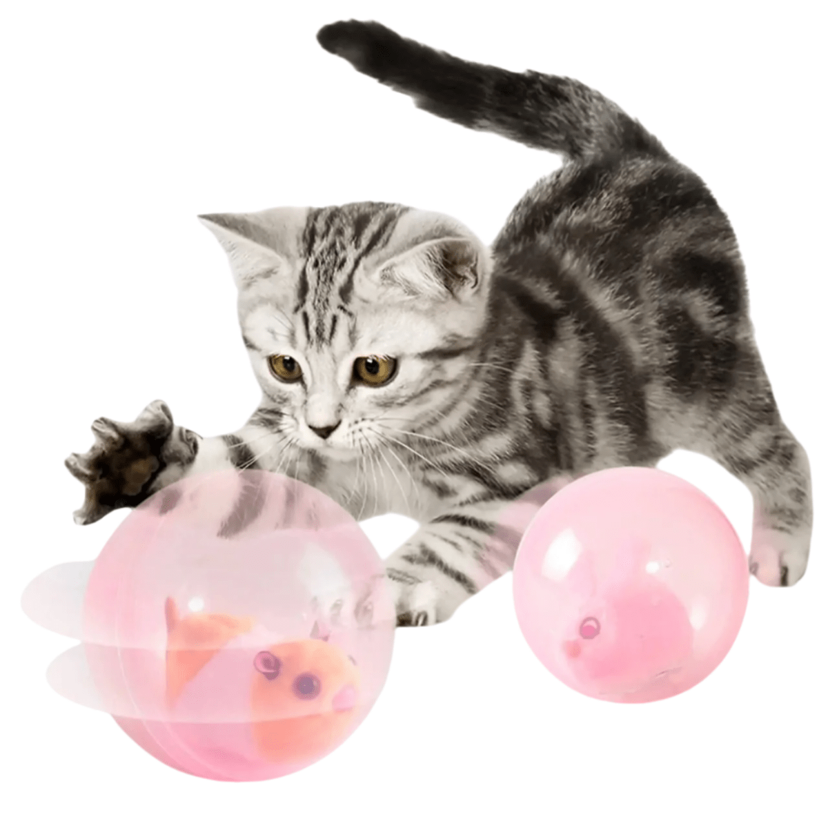 Interactieve Spelbal Voor Katten En Honden - Transparant, Ø 10 Cm, Diervriendelijk Materiaal - Hebbr