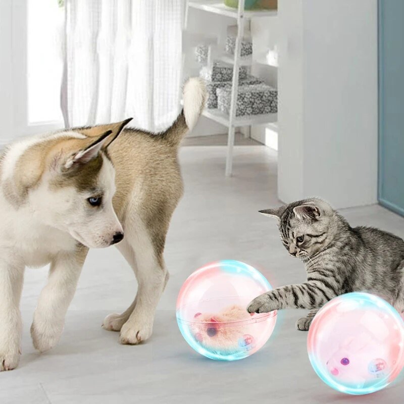 Interactieve Spelbal Voor Katten En Honden - Transparant, Ø 10 Cm, Diervriendelijk Materiaal - Hebbr