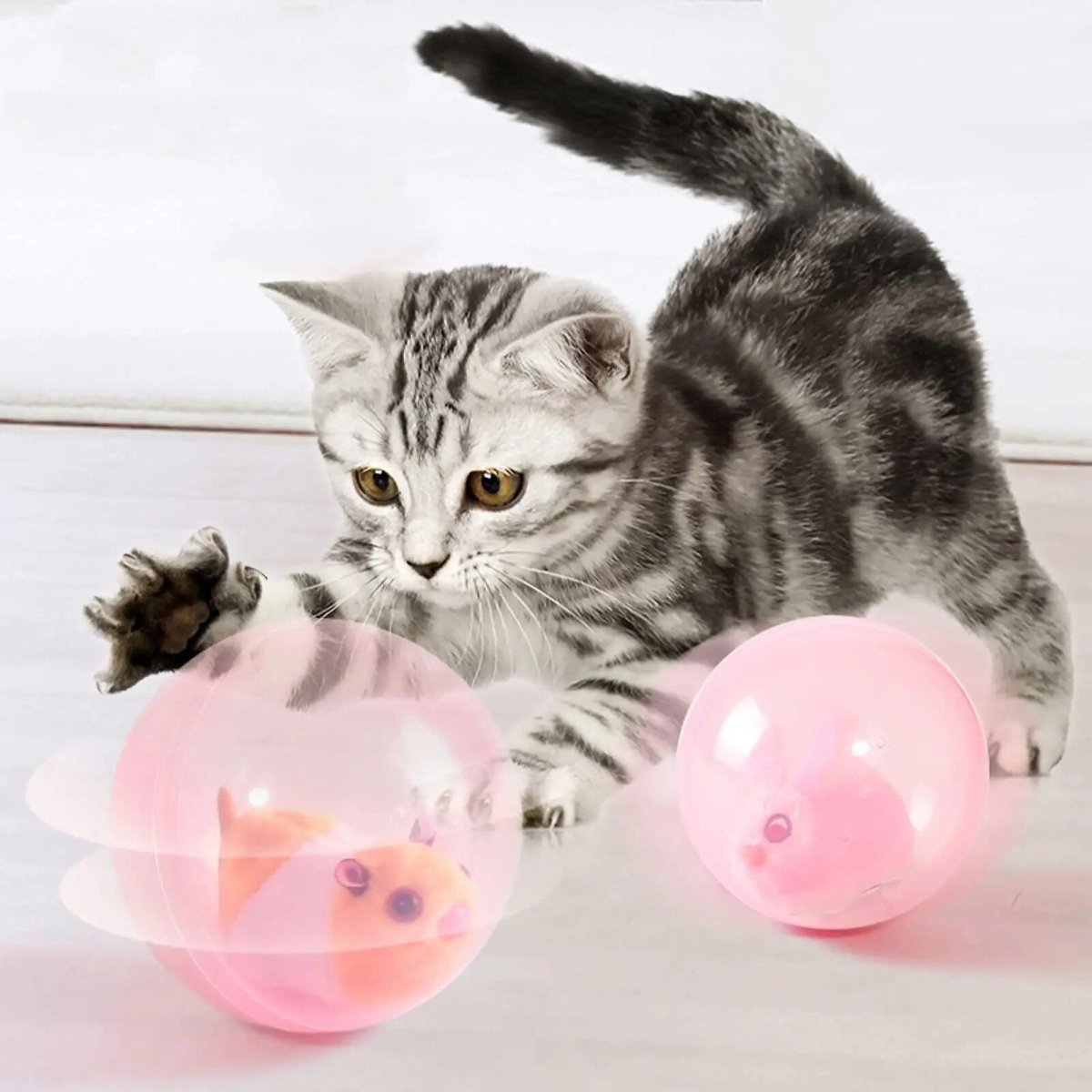Interactieve Spelbal Voor Katten En Honden - Transparant, Ø 10 Cm, Diervriendelijk Materiaal - Hebbr