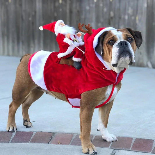 Karo Kerstman Hondenkostuum | Verstelbaar, Ademend Katoen voor Kleine tot Grote Honden en Katten - Hebbr