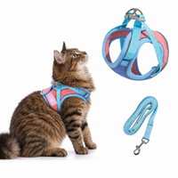 Kato kattenharnas blauw met contrasterende tabby kat op witte achtergrond