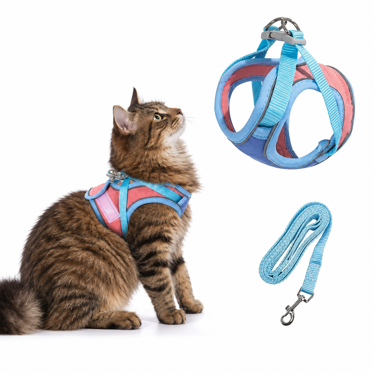 Kato kattenharnas blauw met contrasterende tabby kat op witte achtergrond