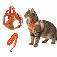 Kato kattenharnas oranje met contrasterende tabby kat op witte achtergrond